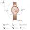 SHENGKE K0093L Novel Women's Rose Gold Mesh Watch New Fashion Brand Beautiful Lady Quartz Wristwatch