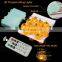 White PVC Solar Power Halloween Light Flash Item Cable Garden Color Bulb Pumpkin Lamp