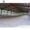 China hot sell steel structure horse arena building
