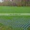 Wholesale  Heavy Duty Plastic Grass Reinforcement Mesh for sale