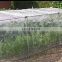 Factory wholesale agriculture greenhouse anti insect net mosquito net