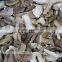 Market prices for mushroom dried boletus edulis