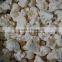 frozen cauliflower floret