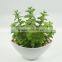 Artificial potted plant artificial plant artificial succulent wholesale