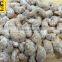 Best quality coconut coated cashew Vietnam origin