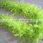 Wholesale Feather Suppliers Fashion Turkey Feather Boa Scarf