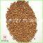 wholesale food grade brown roasted buckwheat kernels