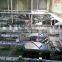 Protein Beverage Production Line for Walnut Kerrnel