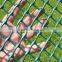 Light weight extruded grass turf trellis mesh netting