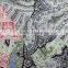 Esse Textile selling knitted fabric FDY fabric printed fabric for clothes