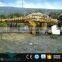 OAV7156 Original Replicas Most Interesting Dinosaurs Live In Nature