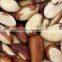Good Quality Brazil Nuts for sale