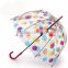 fashion PVC transparent umbrella,bubble umbrella, colorful clear umbrella