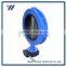 Best Seller Chain Cast Iron OEM Price 2 Inch Water Valve