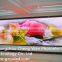 World famous products p10 full color indoor led display