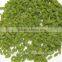 Air Dried AD Green Raisin with Factory Price