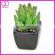 artificial echeveria succulent pot