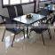 Outdoor table/Garden chairs/dining chair pads