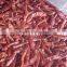 Chilli products