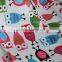 China wholesale soft cuddle customizable cartoon printed minky