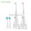factory sonic tooth brush oem/odm electronic toothbrush HQC-005