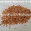 Roasted Garlic Granules from Factory directly