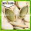 Great sales raw pumpkin seeds with best quality and price