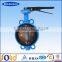 Double Flanged Wafer and Lug Type Butterfly Valve