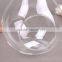 Micro landscape ecological lamp bulb shape Meaty hang plant glass vase