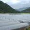 Hot selling Muti-span greenhouse film