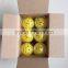 High Quality Eco-friendly durable usapa Approved Pickleball