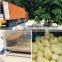 Hot Sale Electricity Type Potato Peeling Machine with High Quality