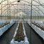 Polycarbonate Greenhouse vegetable seeds greenhouse