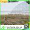 Low Cost Tunnel Greenhouse for Sale