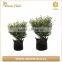 Green Field Best Selling Durable Using Wholesale Garden Felt Grow Bags
