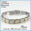 In Stock Stainless Steel Energy Jewelry Double Row Energy Element Silver Gold Plating Bio Magnetic Bracelet