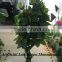 SJ10#110019004 indoor artificial apple tree bonsai ,2015 new arrival and high simulation tree GuangZhou