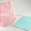 Shopping Paper Bag Foaming Process/Foldable Gift Bag