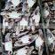 Blue Swimming Crab For Sale