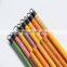PVC Coated Wooden Broom Stick/Handle