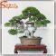 High quality life size artifical plant home decoration artifical bonsai plants