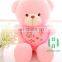 HI CE hot selling plush teddy bear with red heart ,stuffed red heart teddy bear valentine's gift