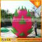 Top Sale Red Color Advertisement Giant Inflatable Apple