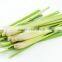 Fresh Lemongrass Vegetable in Vietnam