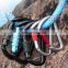 JRSGS 11kN D Shaped Light Weight  Hammock Clip Snap Hook Aluminum Carabiner With Screw for Outdoor S7807TN