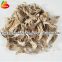 High Quality Dried Oyster Mushrooms Wholesale Price
