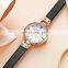 SINOBI S9818L Lady Fashional Wrist Watch Cow Leather OEM Female Watches Custom Logo Tender Rose Gold Watch