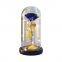 Hot Selling LED Light Decorative Rose in Glass Dome for Mother's Day Gifts Weddings Wholesale Supply