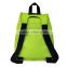 New Design Attractive Apple Green Polyester Backpack