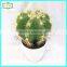 25cm high quality real touch artificial cactus plants